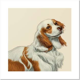 Elegant Brown Welsh Springer Spaniel Dog Posters and Art